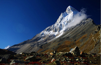 Gaumukh Tapovan Trekking Tour